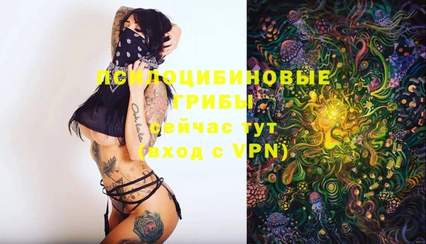дурь Майский