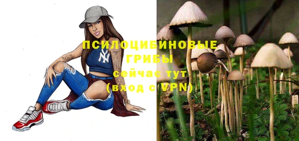 дурь Майский