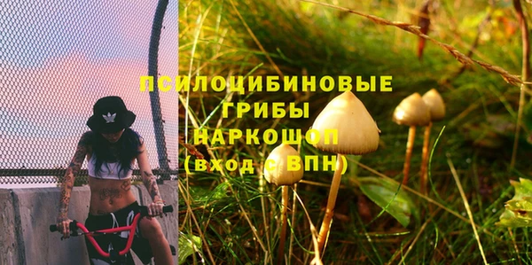 гашиш Магас