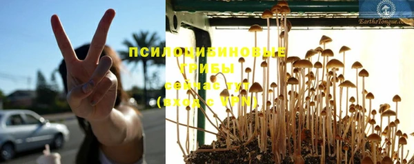 дурь Майский