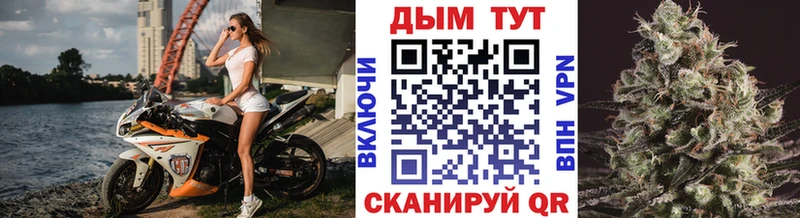 OMG   Южа  Конопля семена 